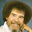Bob Ross ™