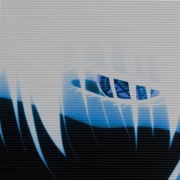 winterba6y