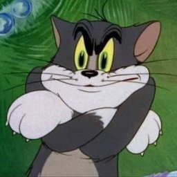Bilo gato