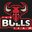 the Bulls team