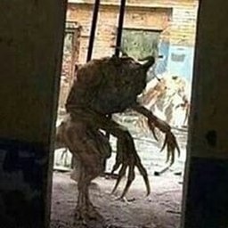 Diego0