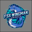 FSX Wingman