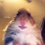 hamster5 (was deleted at: 2022-09-09T12:31:05.4673802Z)