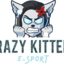 Crazy Kittens E-Sport