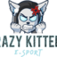 Crazy kittens e-sport