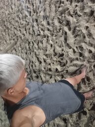 Enzo Luiz Castro Porto