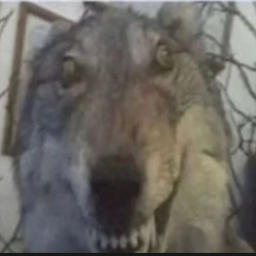 Rozjebator69
