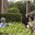 neighbour