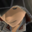 FatalMageKnight