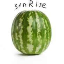 sanirise