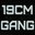 19CM_GANG