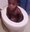 i duck sick