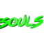 TheSoulTeam