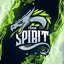 TEAM_SPIRITS🐉