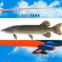 Pike#