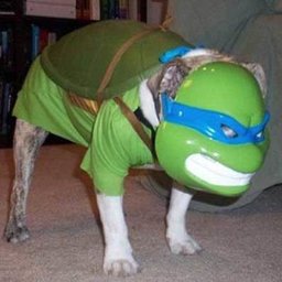 Fishtik