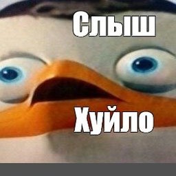 xxflipxx