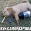 idfy