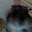 HGR (was deleted at: 2022-02-21T16:07:43.1757805Z)