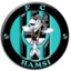Hamsi Team
