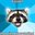 islapmyraccoon