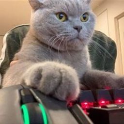 SHACKKEYS