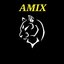 Team Amix