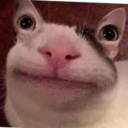 bananensuchtie