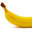 PaNNNche