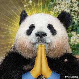 holybambino