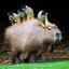 Capybaras Gaming (was deleted at: 2018-12-20T17:06:48.6521587Z)