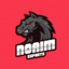 NoAim Esports
