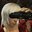??DANTE™