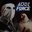 AudiFoRcE