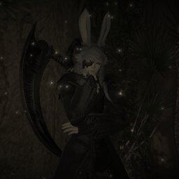 tt.shadow.lily.flowr