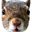 Squirrel Head