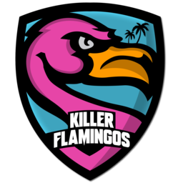 KF_Debris