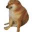 DogePeek