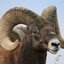 XON CARNEIRO (was deleted at: 2024-10-04T03:35:24.3694053Z)