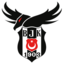 Beşiktaş Esports Female (was deleted at: 2023-02-19T13:23:19.5802899Z)