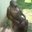 Eduardo-#