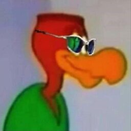 Raiderz rei da pitoca