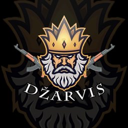 Dzarv1s