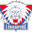 Linköping HC