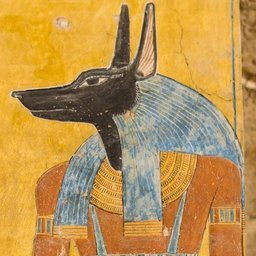 Anubis?#1261