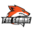 FOX GAMING ESPORTS