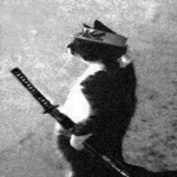 Gato Samurai
