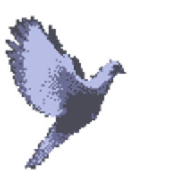 tango.majstor@gmail.com