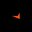 faceitadmin