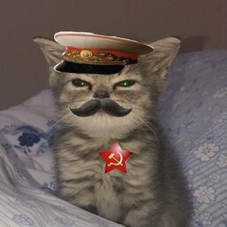 chikibrinka